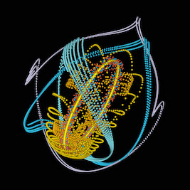 Photographie scientifique Colonna small